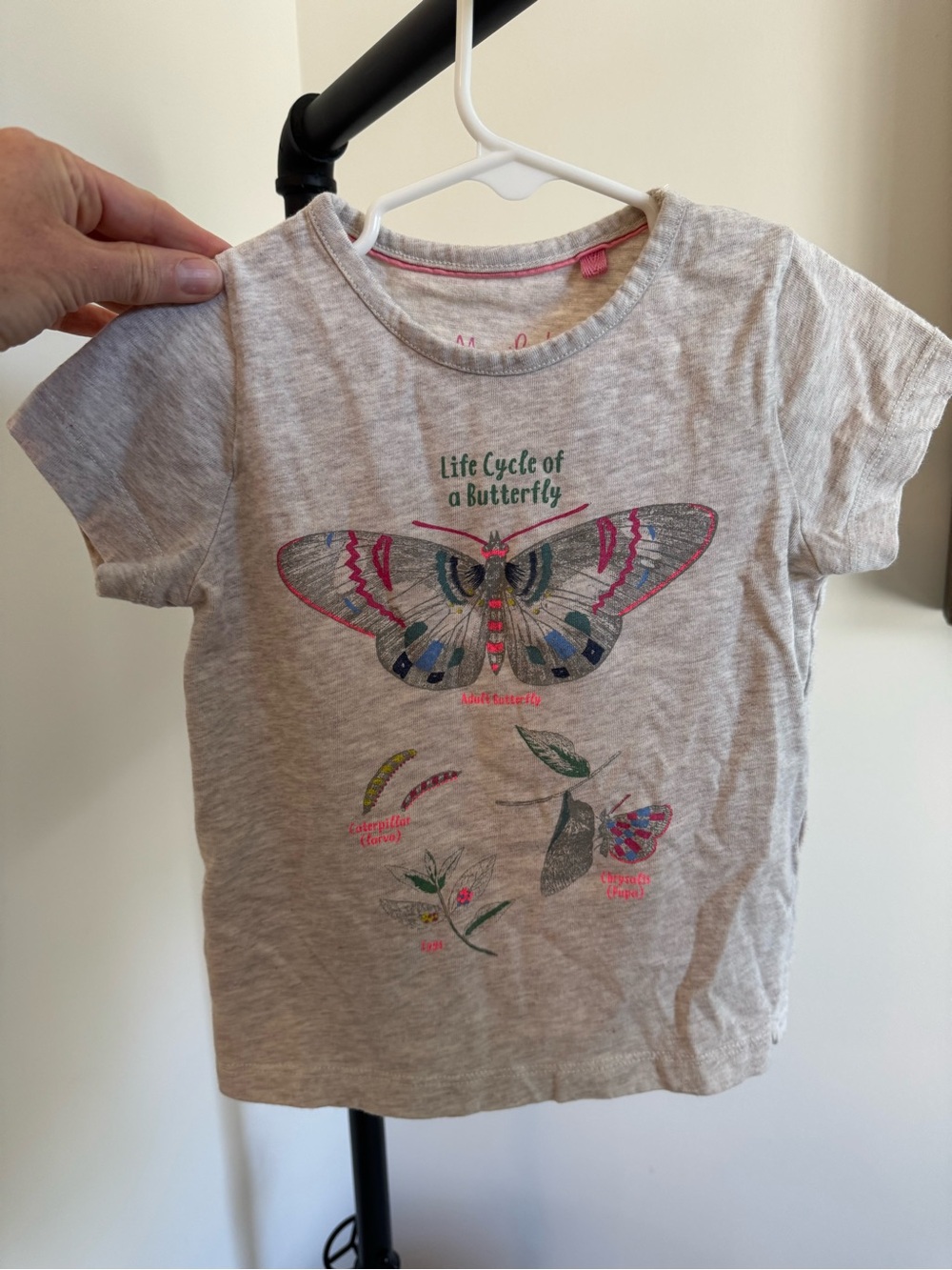 Mini Boden Gray Tee with Colorful Butterfly Graphic